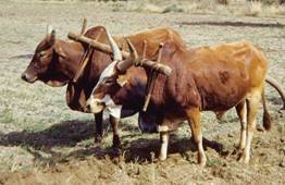 image021.jpg